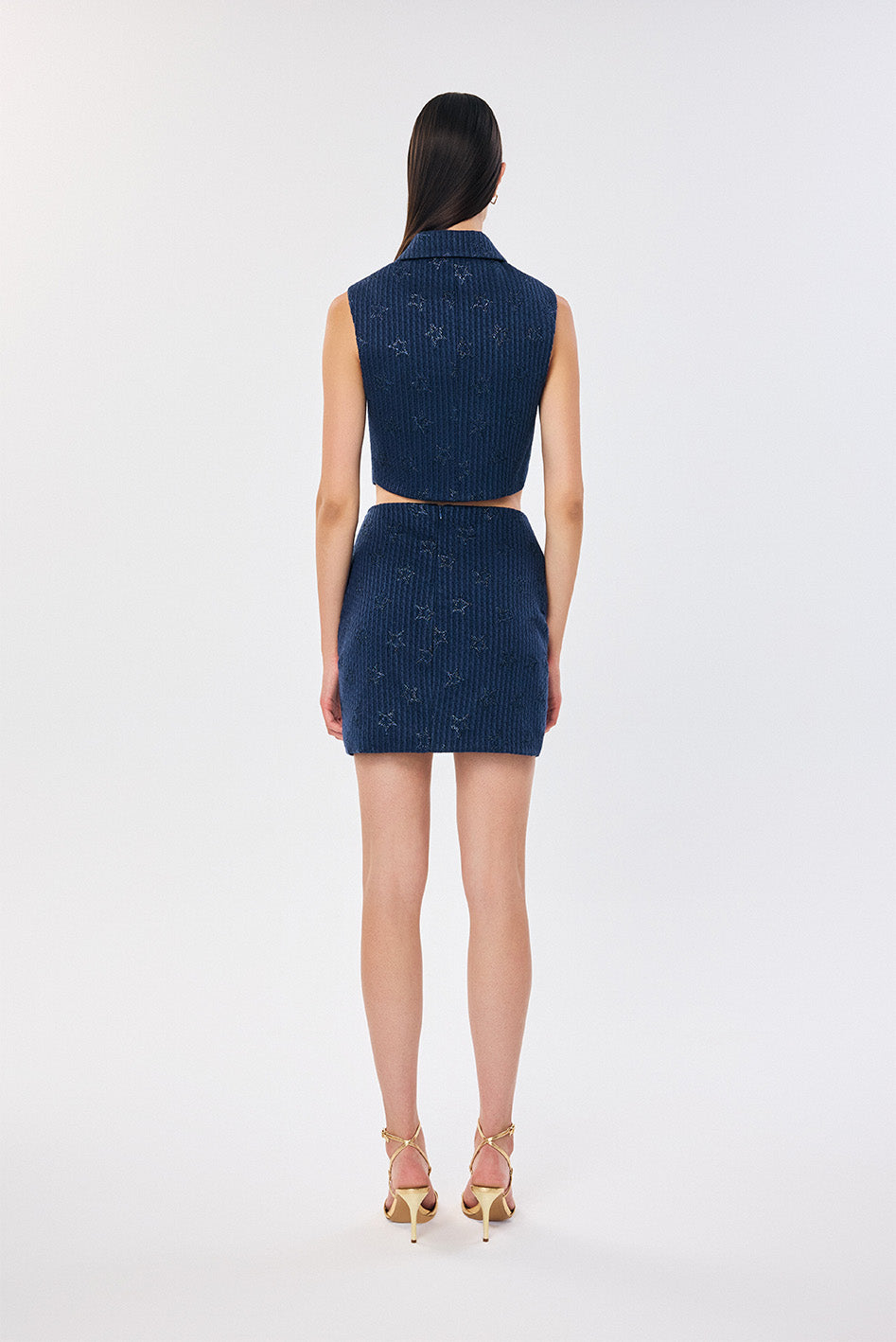 Astra Skirt